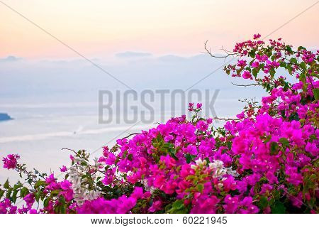 Santorini Greece