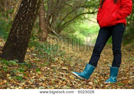 A pie del bosque de otoño