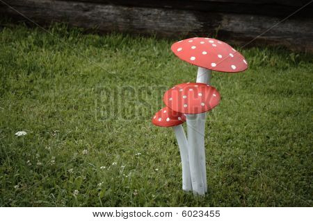 Fly Agaric