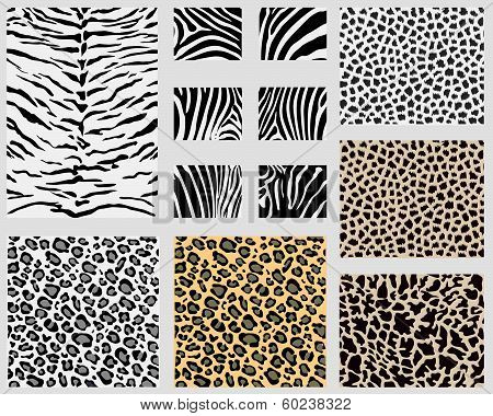 Animal skins