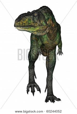 Dinosaur Aucasaurus