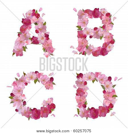 Spring alphabet with cherry flowers ABCD