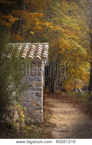 Little Cottage On The Road