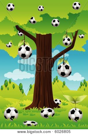 Fotbal
