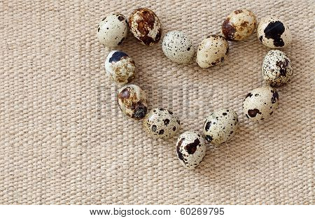 Quail eggs
