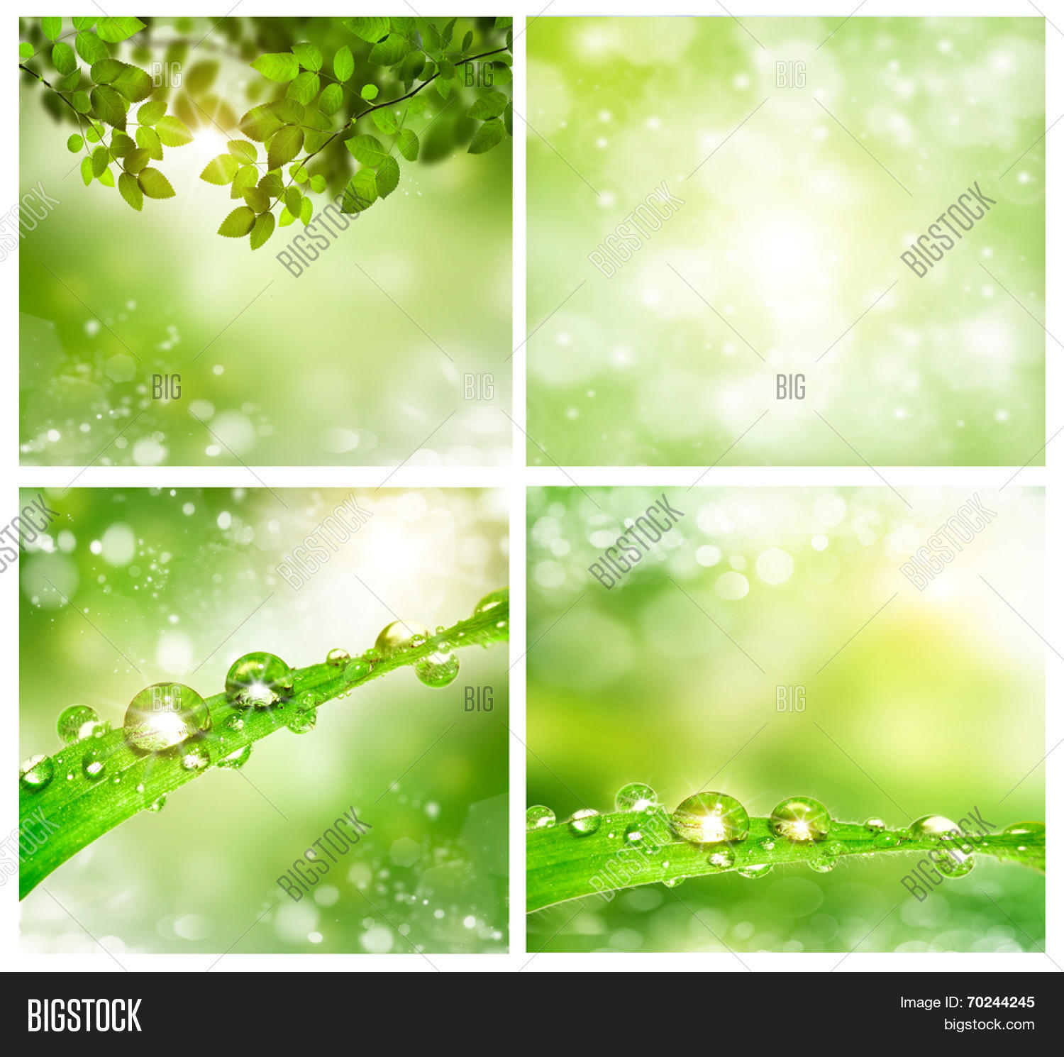Set Photos Spring Image & Photo (Free Trial) | Bigstock