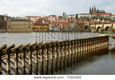 Zamek Praski, Republika Czeska
