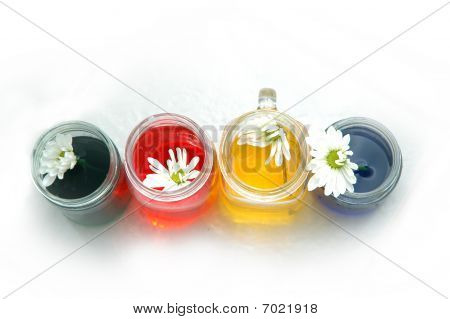 Daisies in green, red, yellow, and blue water