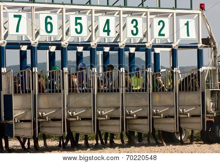 Horse Race Start.