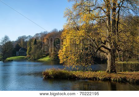 Trees and main lake landscape in Autumn Fall