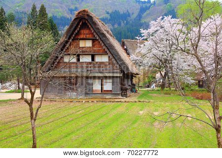 Japan Village