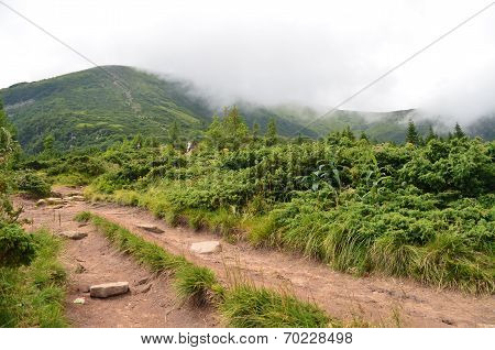 Mountain fog