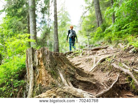 Traveler is walking in the forest