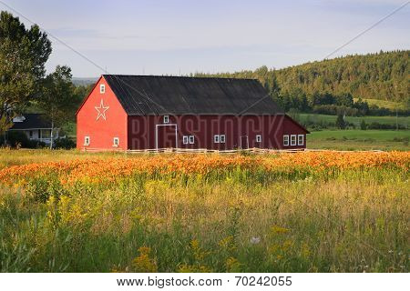 Barn In New Brunswick