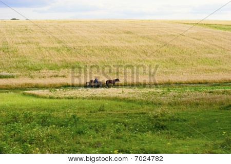 Letní krajina. Rusko.