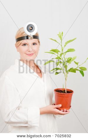 mladá žena vědec botanické se stromečkem