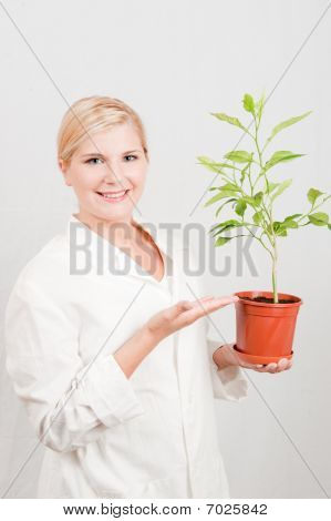 mladá žena vědec botanické se stromečkem