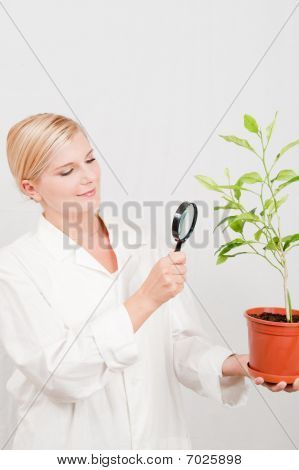 mladá žena vědec botanické se stromečkem