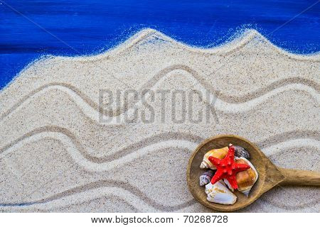 Shells Colored Spoon Beach Sand