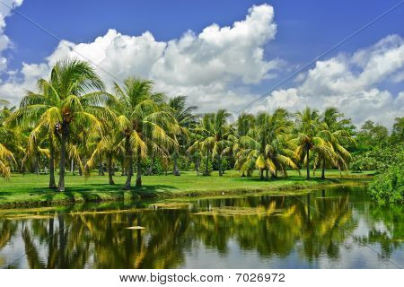 Fairchild tropiske botaniske have