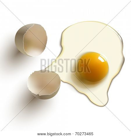 cracked raw egg, shell, yolk and albumen