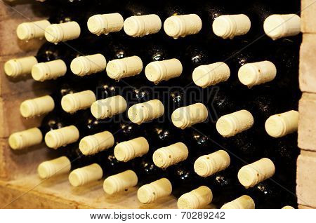 Wine Bottles
