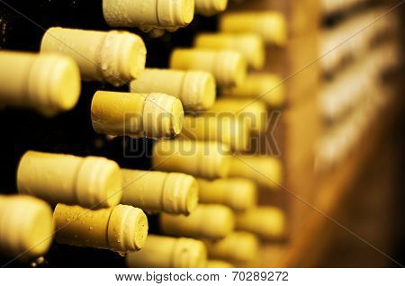 Wine Bottles
