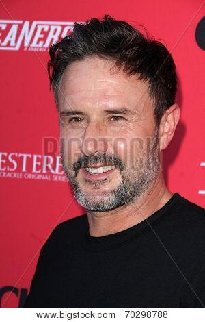 LOS ANGELES - AUG 14:  David Arquette at the Crackle Presents the Premieres of 