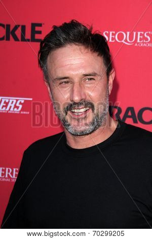 LOS ANGELES - AUG 14:  David Arquette at the Crackle Presents the Premieres of 