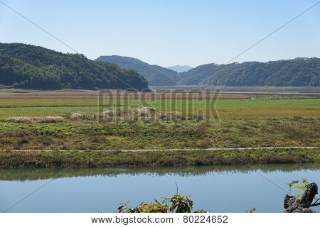 Riverside Of Nakdonggang