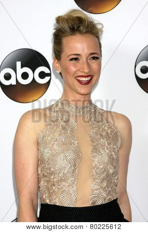 LOS ANGELES - JAN 14:  Karine Vanasse at the ABC TCA Winter 2015 at a The Langham Huntington Hotel on January 14, 2015 in Pasadena, CA