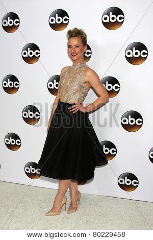 LOS ANGELES - JAN 14:  Karine Vanasse at the ABC TCA Winter 2015 at a The Langham Huntington Hotel on January 14, 2015 in Pasadena, CA