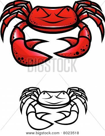 Rode krab met klauwen