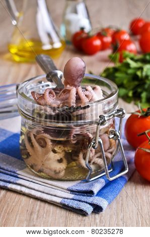 Preserves Small Octopus
