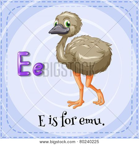A letter E for emu