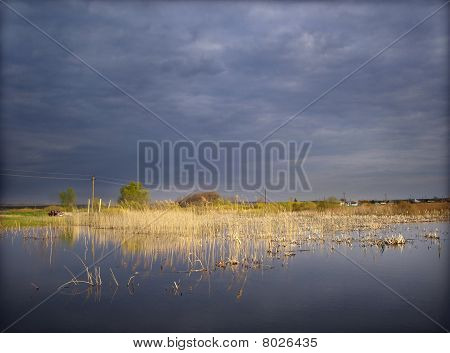 Frühling