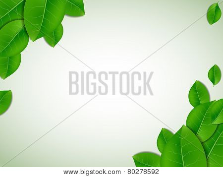 Nature Background