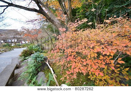 Tenryu-ji In Kyoto, Japan