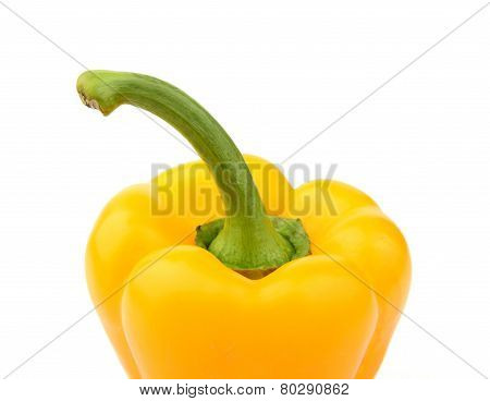 Single Yellow Pepper Close-up View From Top Isolated