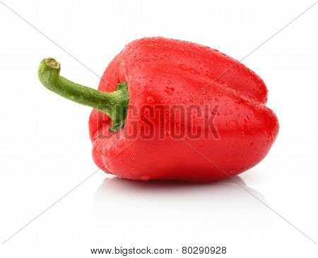 Single Wet Red Pepper Close-up Isolated White