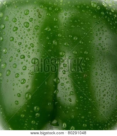 Background Of Wet Green Bell Pepper