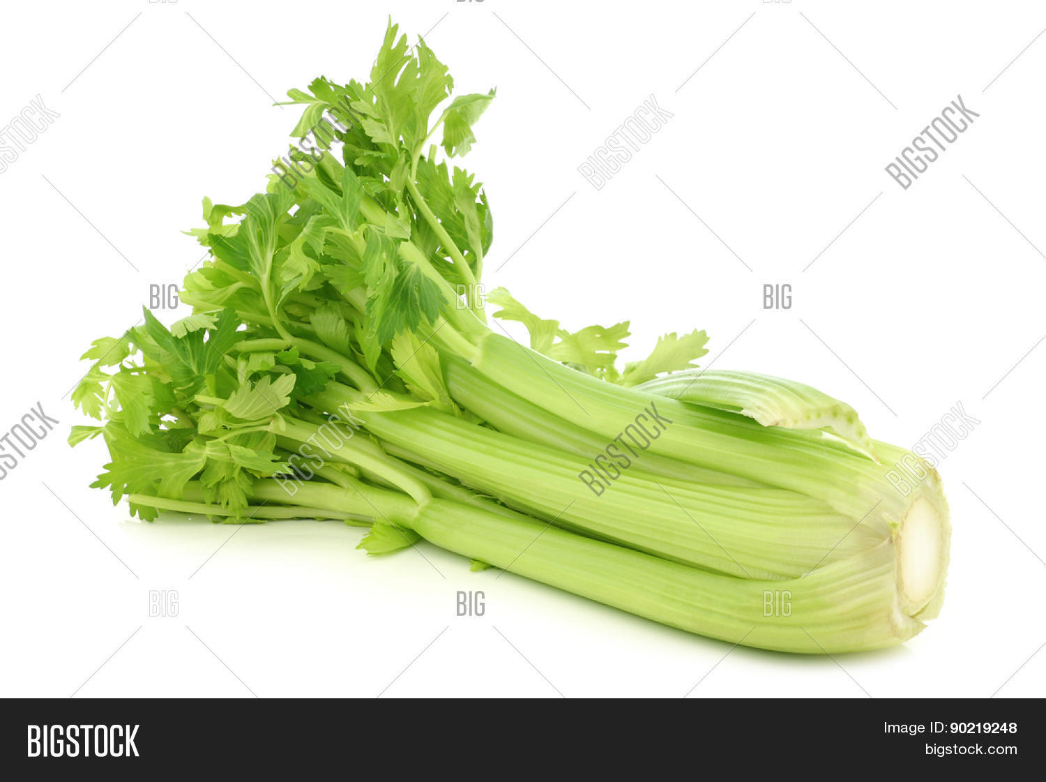 Fresh Celery Stems On Image & Photo (Free Trial) Bigstock