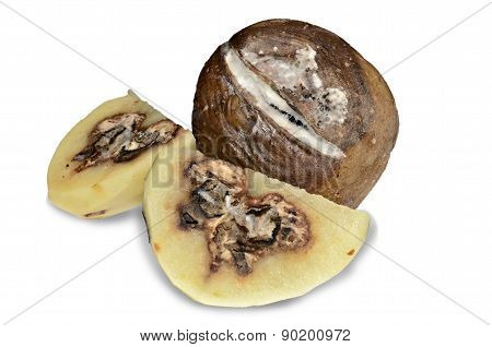 Rotten Poataoes