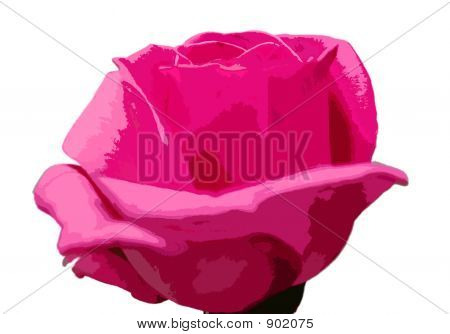 Rose. Ilustrované.