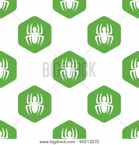 Spider pattern