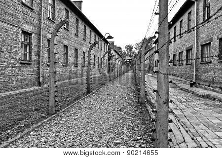 Wires And Barraks In Auschwitz I