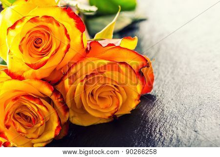 Orange rose. Yellow rose. Several orange roses on Granite background