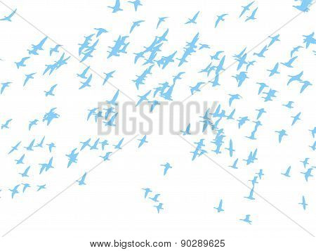 flock of birds blue on white