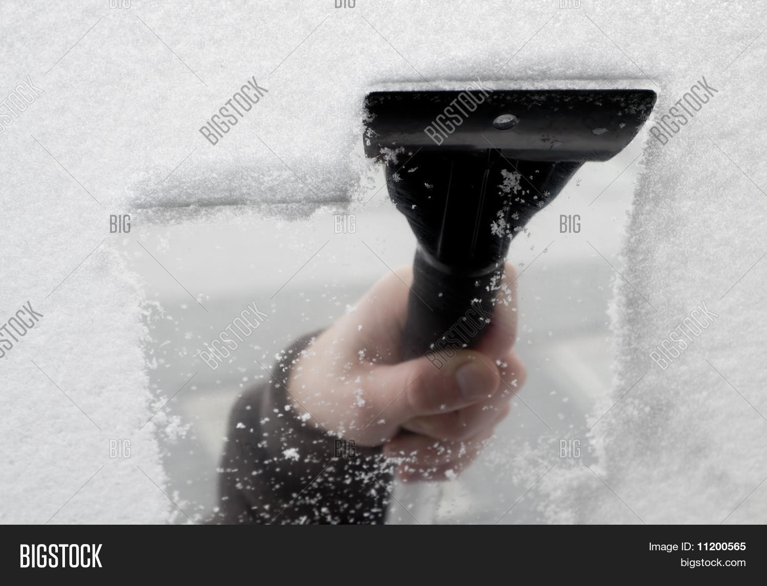 Image Preview