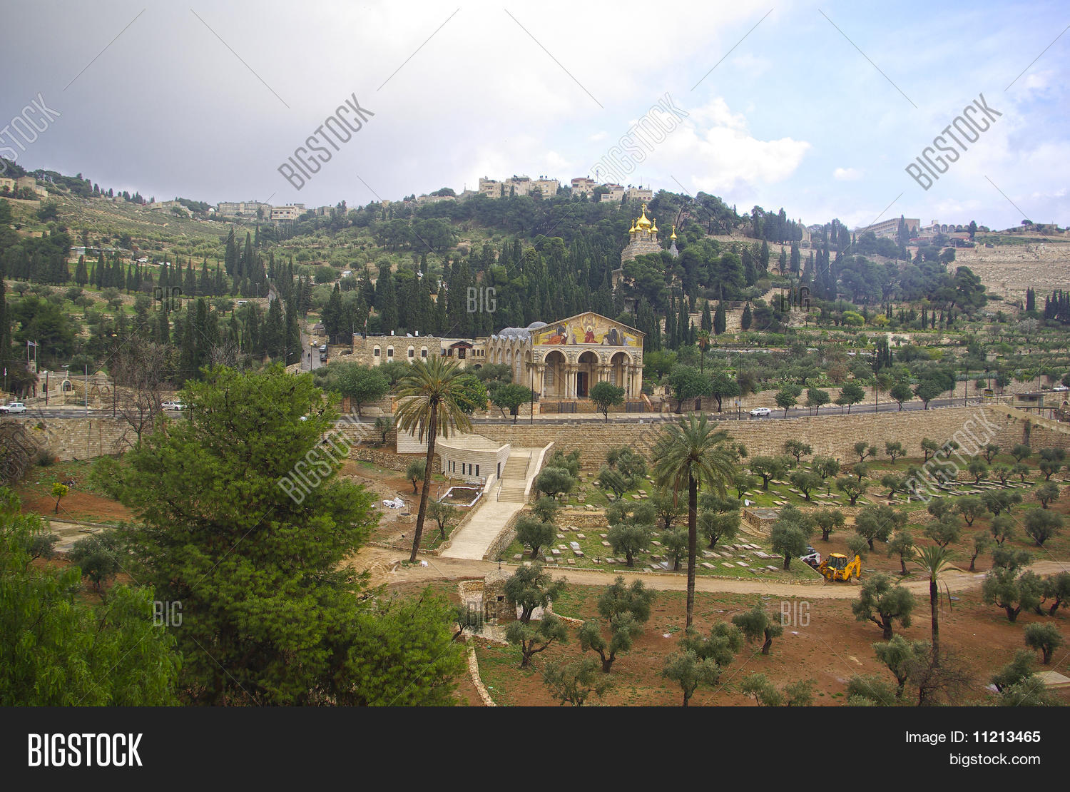 Image Preview